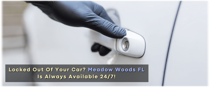 Car Lockout Meadow Woods FL (407) 606-7573